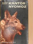 Kántor nyomoz