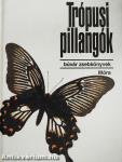 Trópusi pillangók