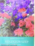 Százszorszép