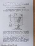 A technológia és minőség kapcsolata a szőlőfeldolgozás-mustnyerés munkafolyamatában