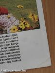 Szép Kertek 1998/2.