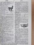 Webster's New World Dictionary