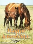 Magyar lovaskönyv