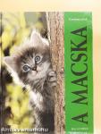 A macska