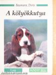 A kölyökkutya