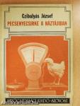 Pecsenyecsirke a háztájiban