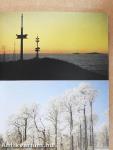 Der Vogelsberg in Farbe