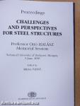 Challenges and Perspectives for Steel Structures