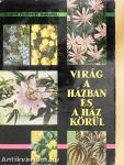 Virág a házban és a ház körül