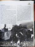 Amerika hadba lép