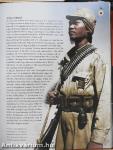 Amerika hadba lép