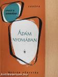 Ádám nyomában