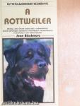A rottweiler