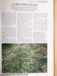 The Practical Gardener