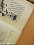 A Magyar Szemle Emlék-albuma 1888-1898 (rossz állapotú)