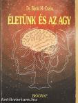 Életünk és az agy