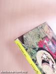 Von Reiselust und Reiseleid