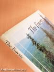 The Forests