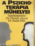 A pszichoterápia műhelyei