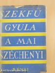 A mai Széchenyi