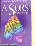 A Sors mint esély