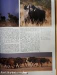 Africa - Environment & Wildlife July/August 1994