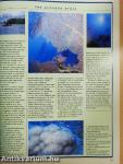 Africa - Environment & Wildlife November/December 1993