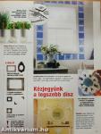 Lakáskultúra 101 ötlet 2008. október