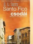 Santo Fico csodái