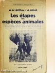 Les étapes des espéces animales