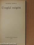 Üvegfal mögött
