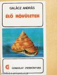 Élő kövületek