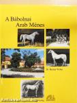 A Bábolnai Arab Ménes