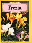 Frézia