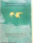 Cross-Sectional CT and MR Anatomy Atlas of Red Deer - Lemezzel