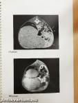 Cross-Sectional CT and MR Anatomy Atlas of Red Deer - Lemezzel