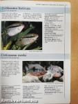 Akvarista kézikönyv