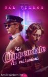 Egy Chippendale-fiú vallomásai