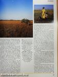 Africa - Environment & Wildlife January/February 1996