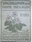 Unsere Waldblumen und Farngewächse