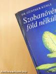 Szobanövények föld nélkül