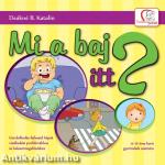 Mi a baj itt? - Gondolkodás-fejlesztő képek viselkedési problémákhoz és balesetmegelőzéshez