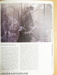 Der Wald