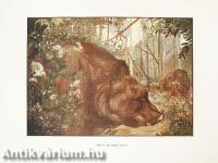 The Jungle Book