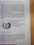 A szerelem ecsetje
