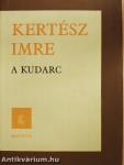 A kudarc