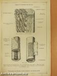 Anatomischer Atlas für studierende und Ärzte I. 