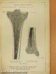 Anatomischer Atlas für studierende und Ärzte I. 