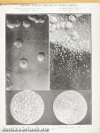Annals of the Pickett-Thomson Research Laboratory IX.