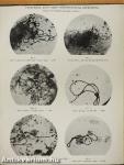 Annals of the Pickett-Thomson Research Laboratory IX.